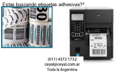 Instalacion zebra gk 420 t